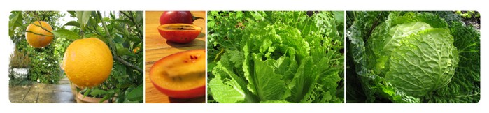 Produce week will provide you with all the necessary food items for Christmas