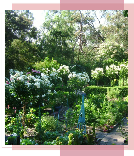 garden-home.jpg